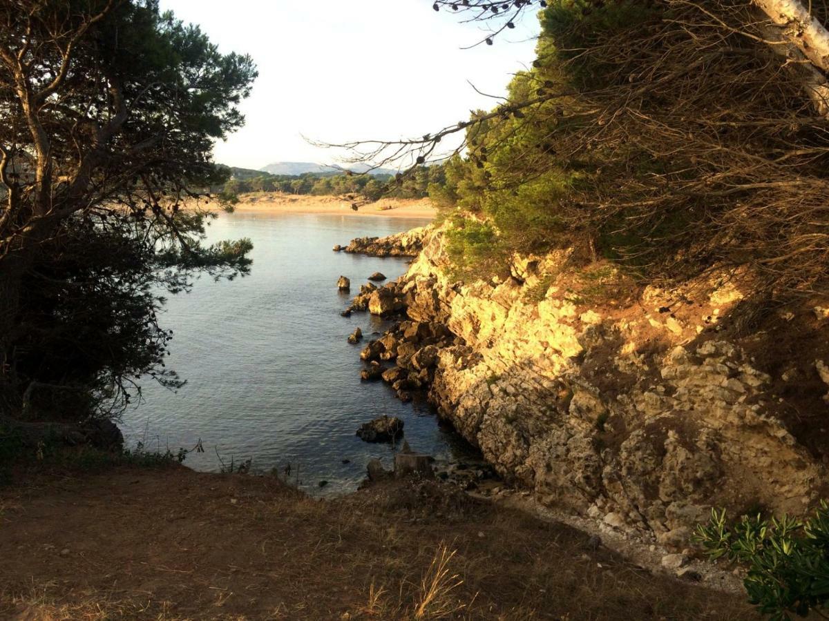 Apartamento El Niuet L' Escala