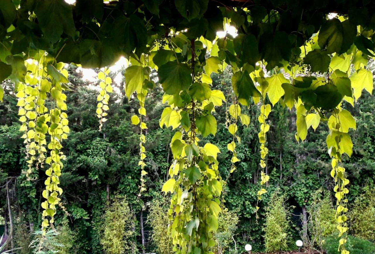 Lamusana (adults Only) Bed & Breakfast Bell-Lloc (Girona)