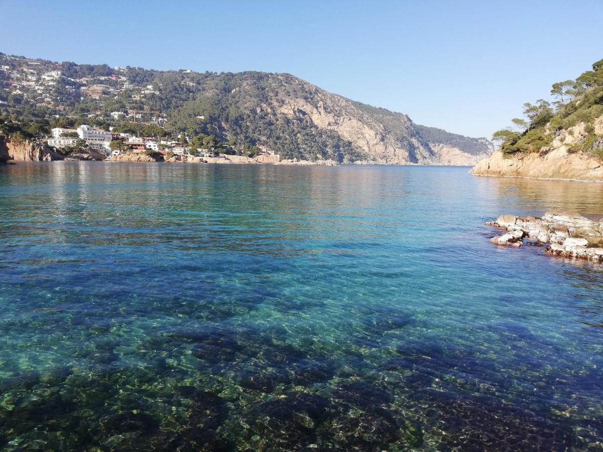 Apartment Le Balcon De La Mer-piscine-wifi-pkg Begur