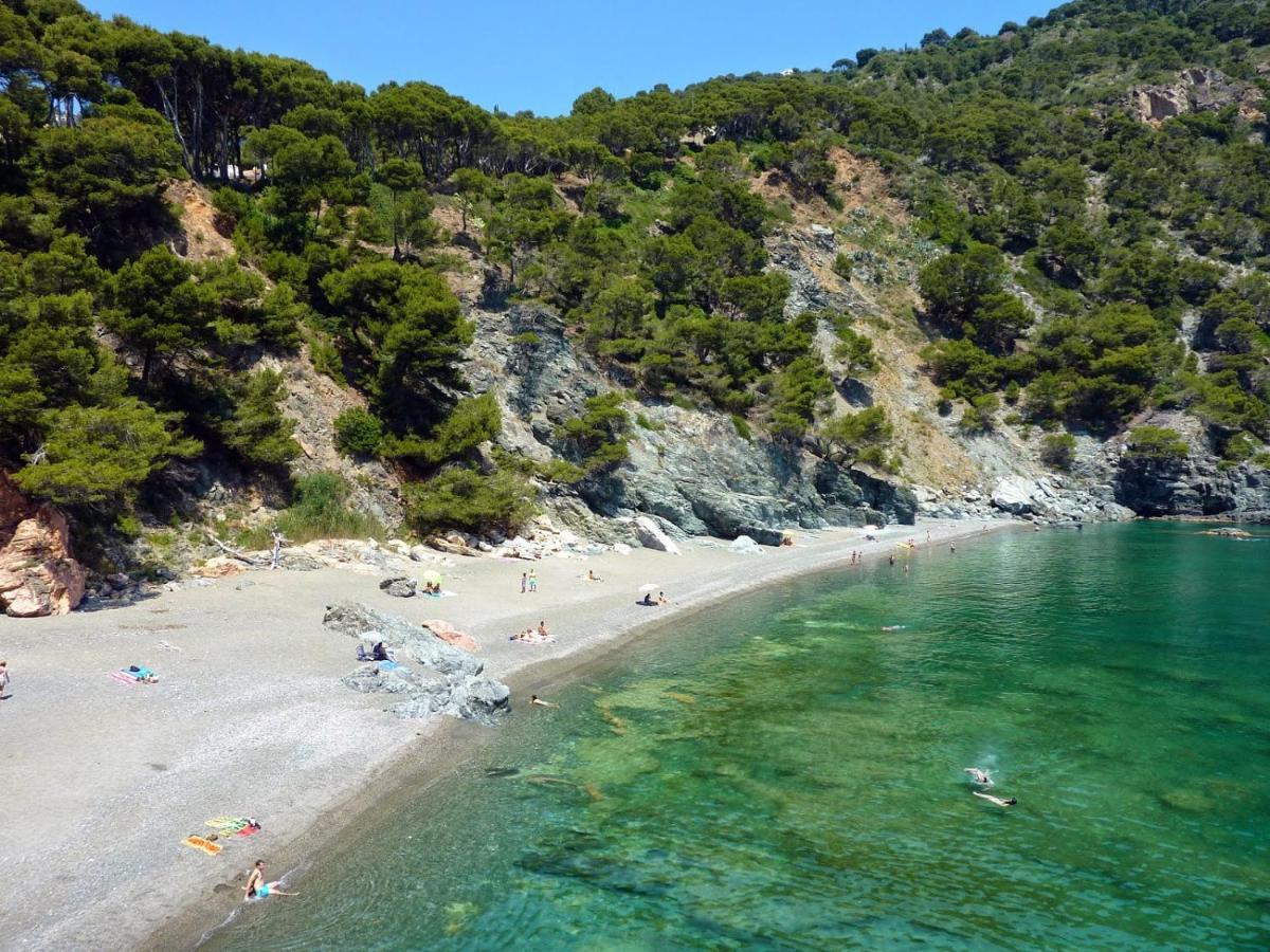 Apartamento Le Balcon De La Mer-piscine-wifi-pkg Begur