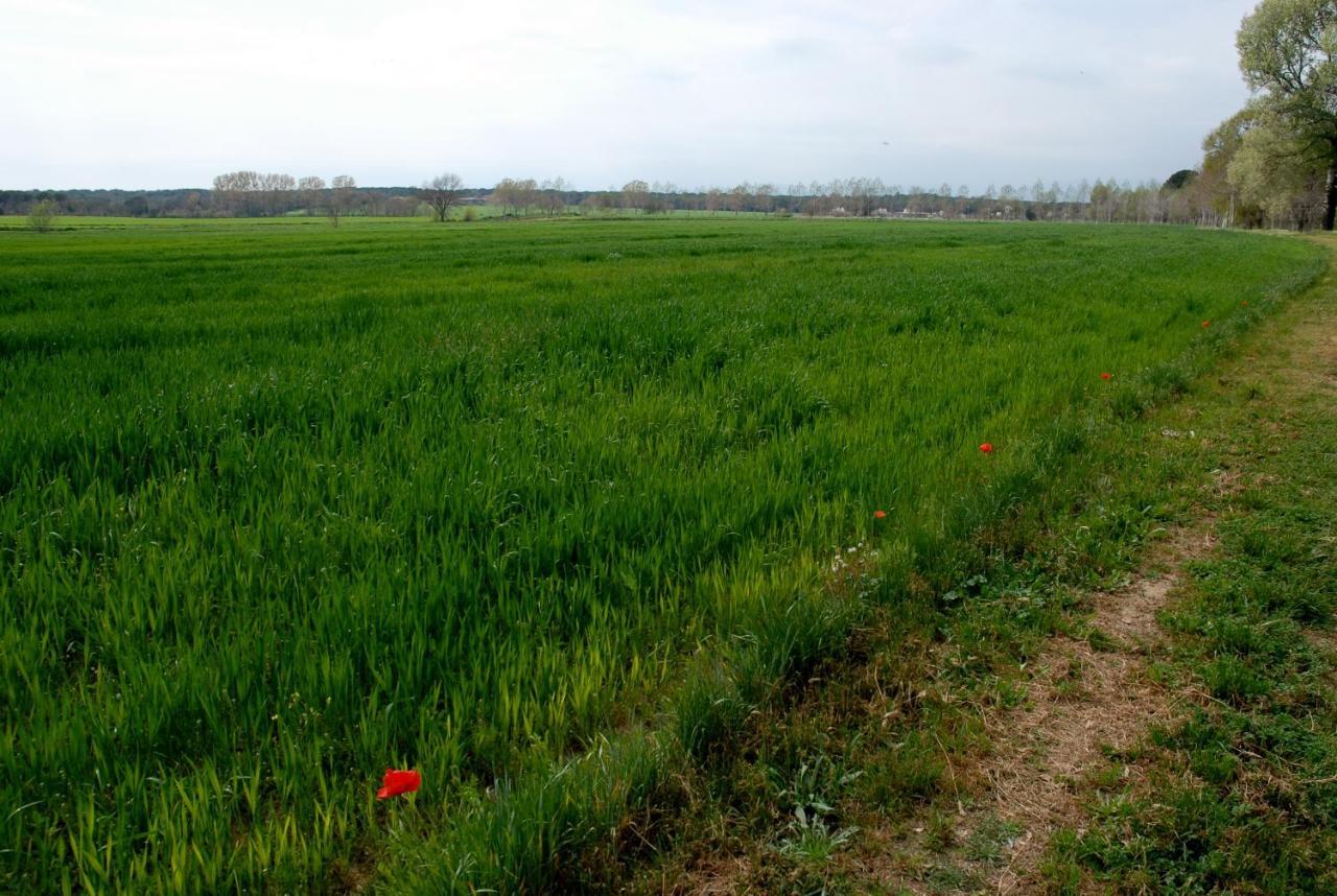 El Mas Pla Casa rural Caldes de Malavella