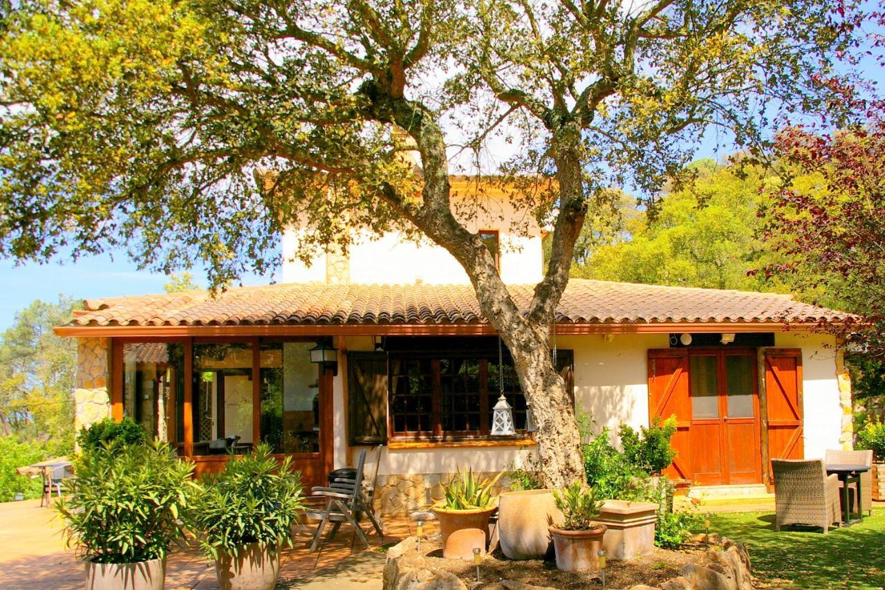 Can Fonzo Bed and breakfast *