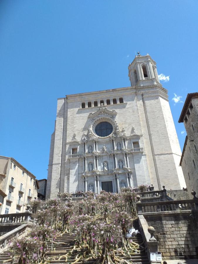 Centrico Y Acogedor * Gerona