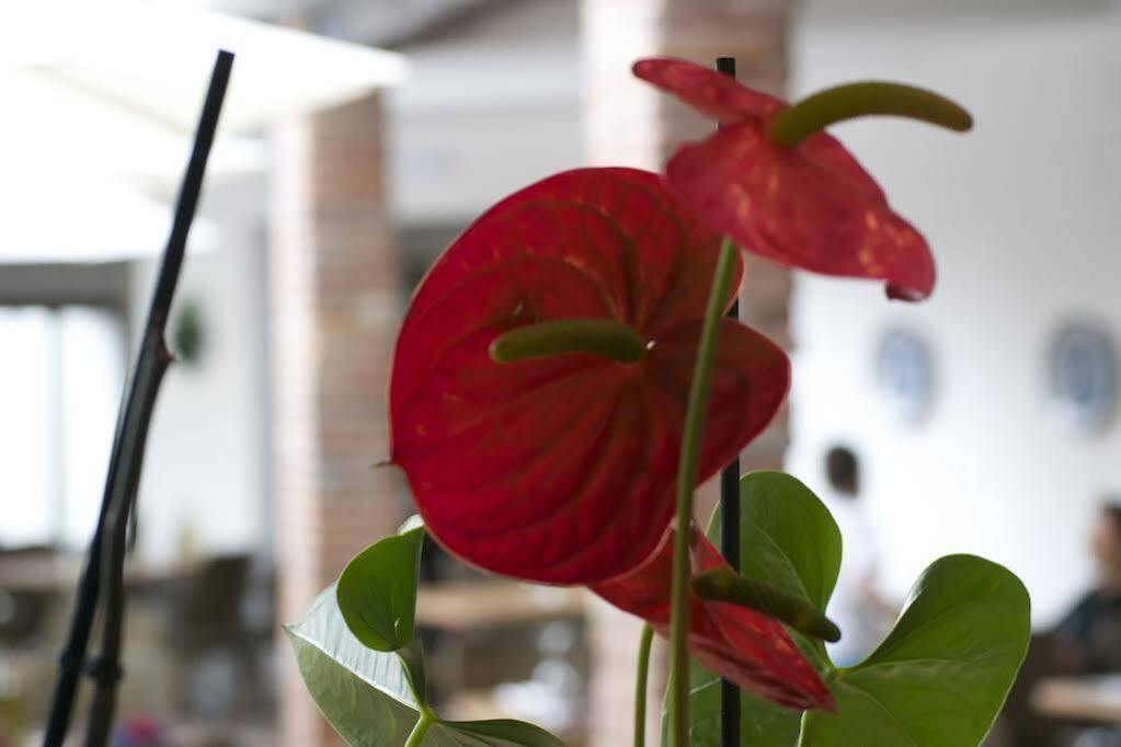 L'hostalet Guest house