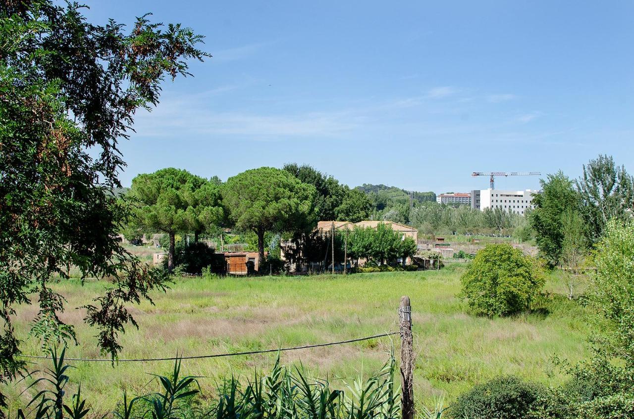 Orchard View