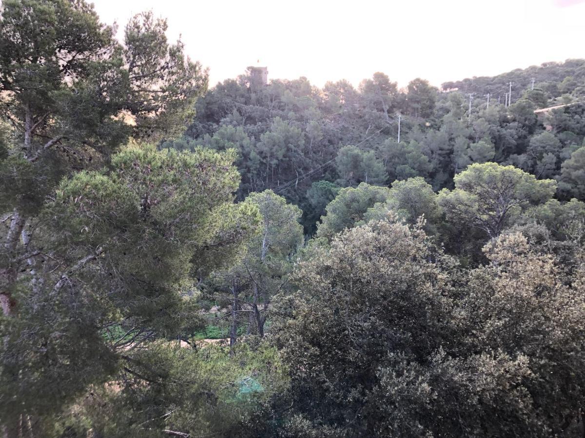 In The Forest With Sea View * Tossa de Mar