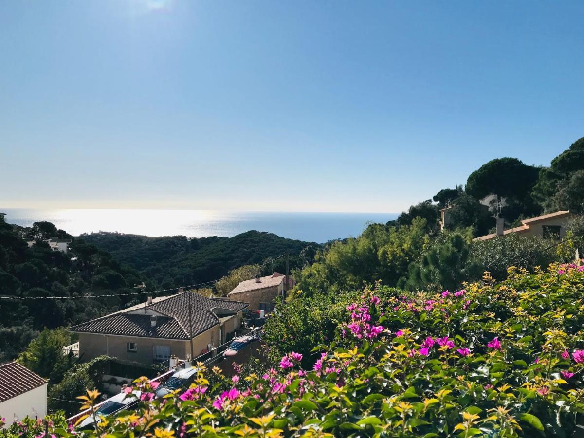 Villa Mediterranean Investingspain Sea View And Pool *