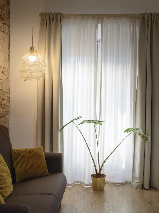 Apartamento Apg Palau Salieti 2