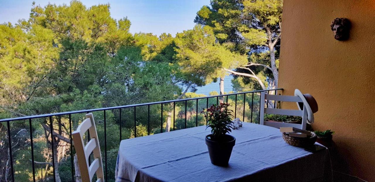 La Musclera- Ideal For Families At The Entrance Of Tamariu! *