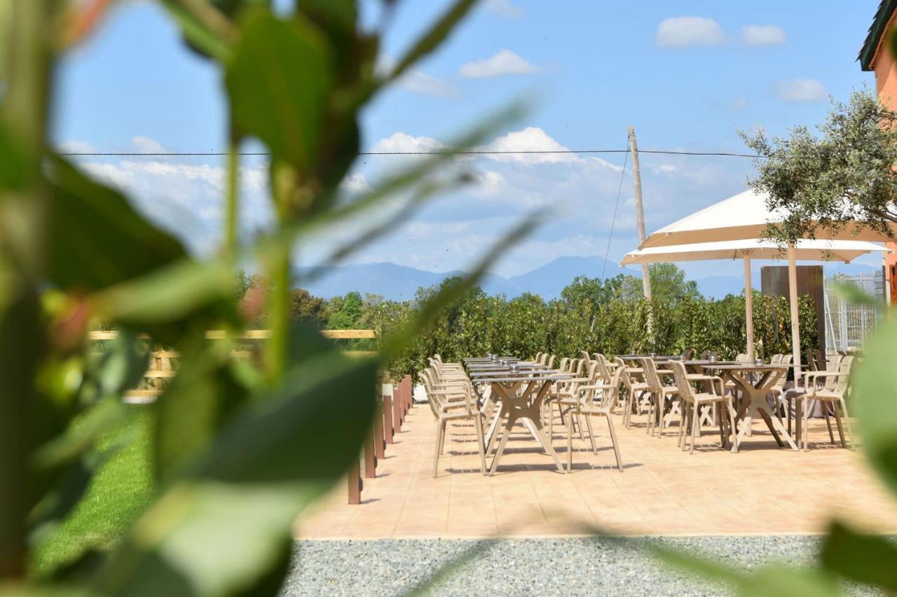 Restaurant Mas Ros Hotel