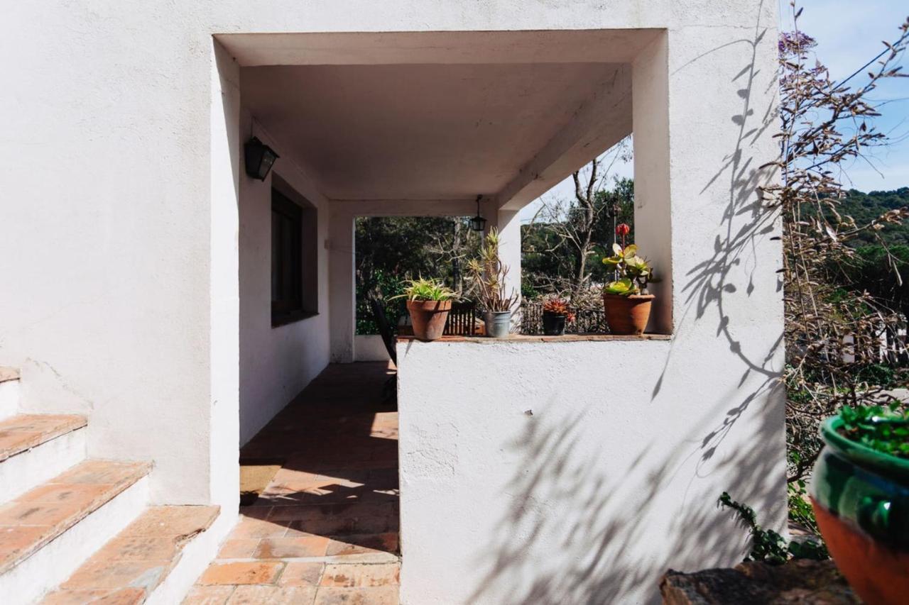 100 Meters From The Beach Of Fresh And Comfortable -tamariu Perica Apartment Tamariu