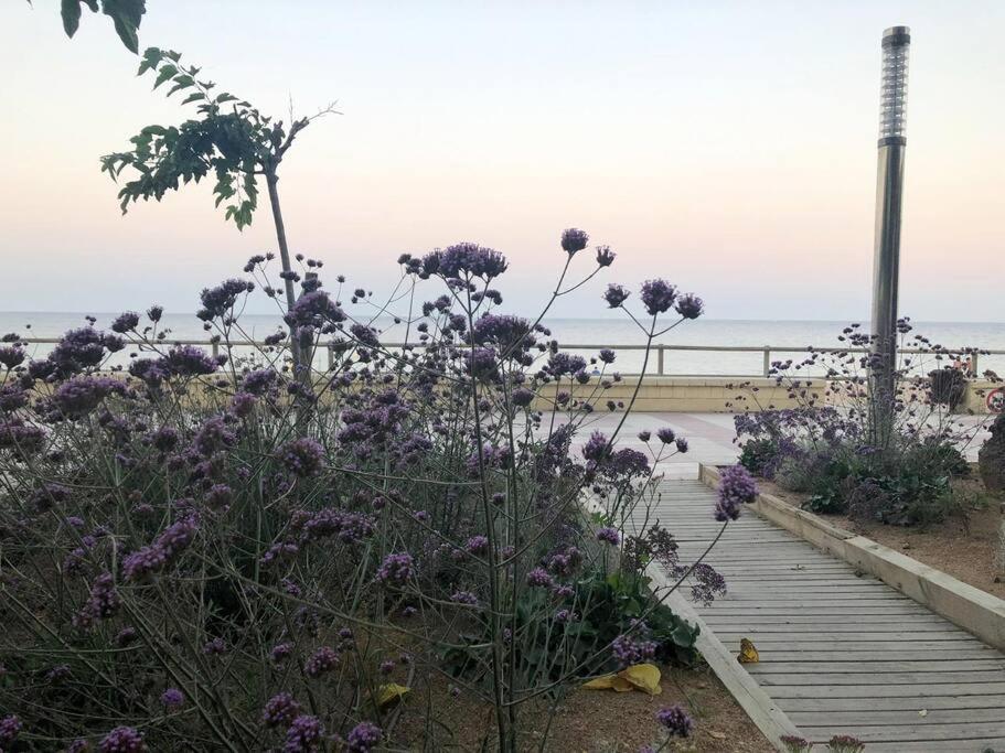 Bliss * Blanes