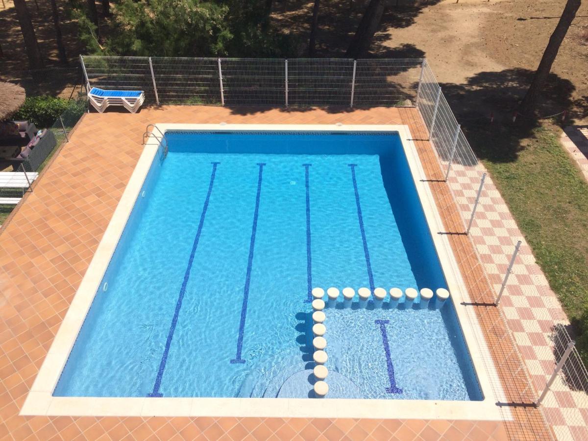 Trill Mirasol E Estudio 1a Linea Mar