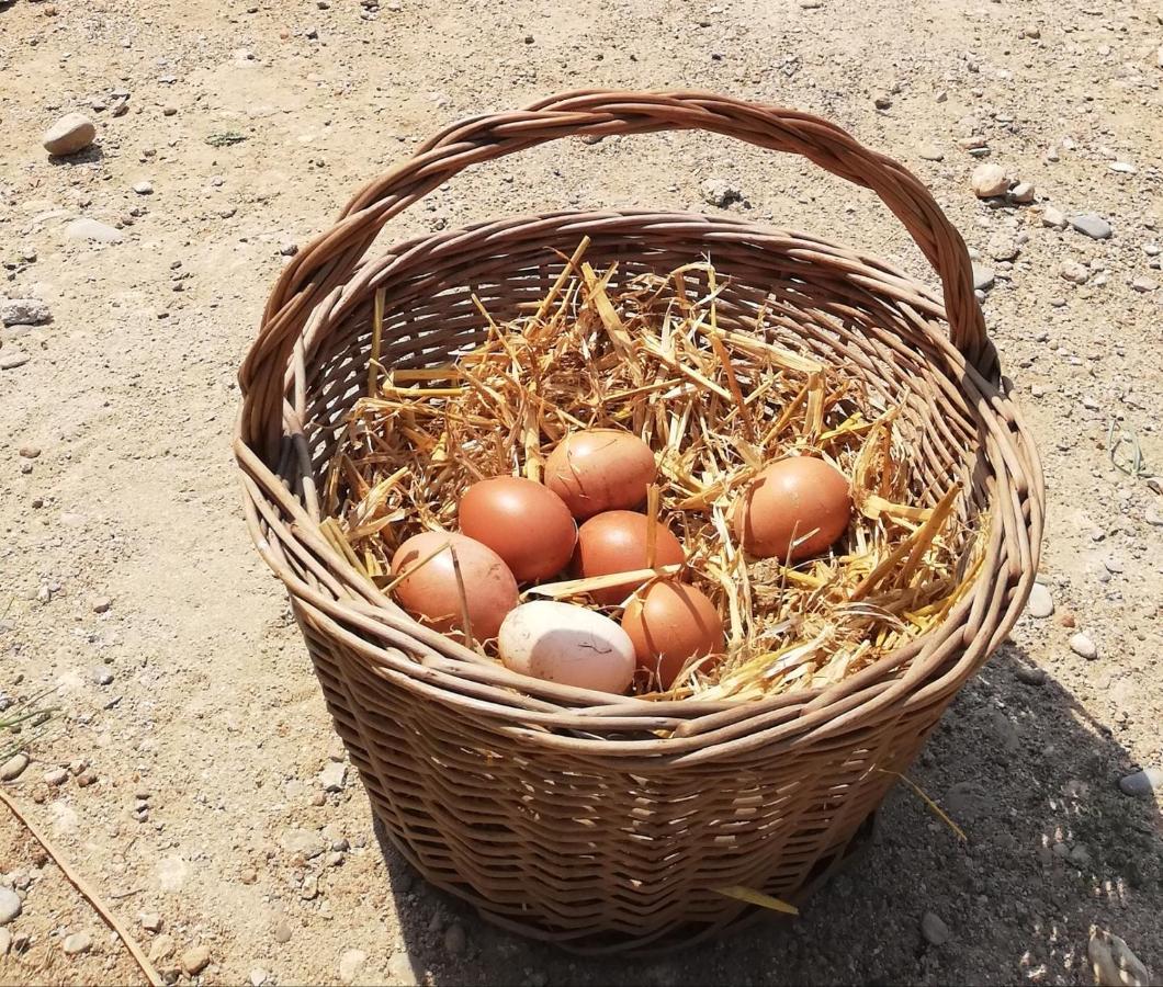 Bed & Breakfast Somnis De L'emporda Vilacolum