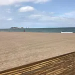 Mas PineII 2 - Viu Bé