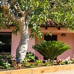 Camping El Pinar