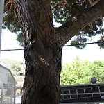Hotel la Masia