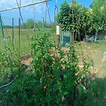 House In Girona - Emporda