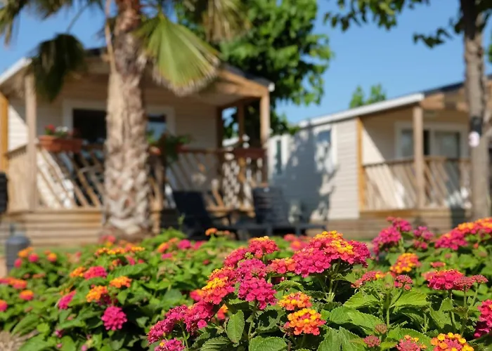 Camping El Pinar