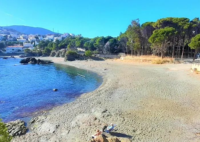 Apartamento Frente Al Mar En Cap Ras - Familiar Y Acepta Mascotas - Es-170-28