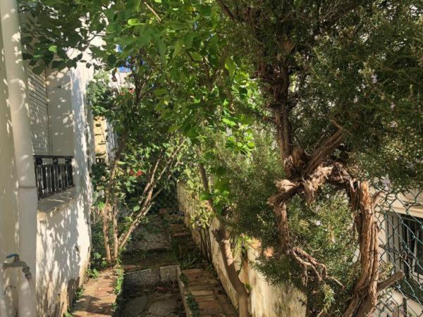 Can Pau Guesthouse