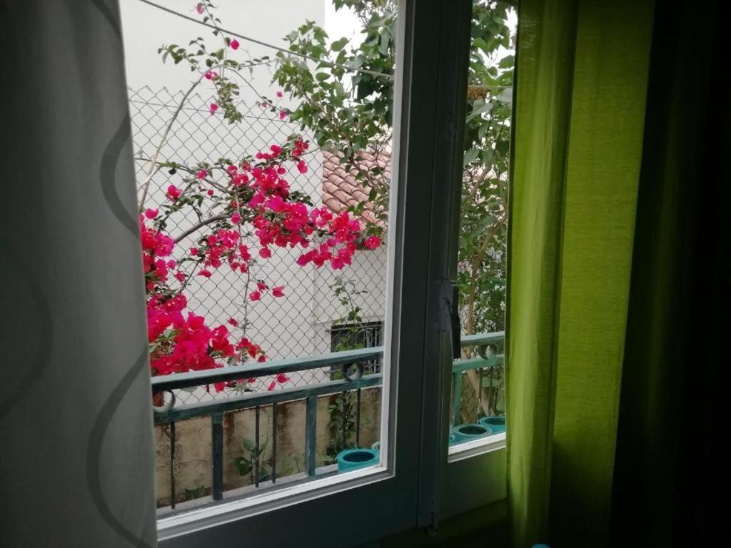 Can Pau Guesthouse * Llançà