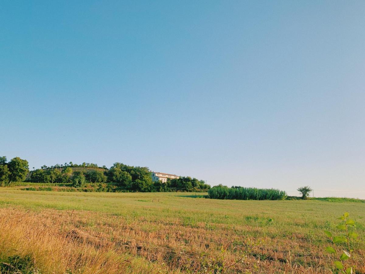 Can Bufi - Hotel & Winery Hotel Llagostera