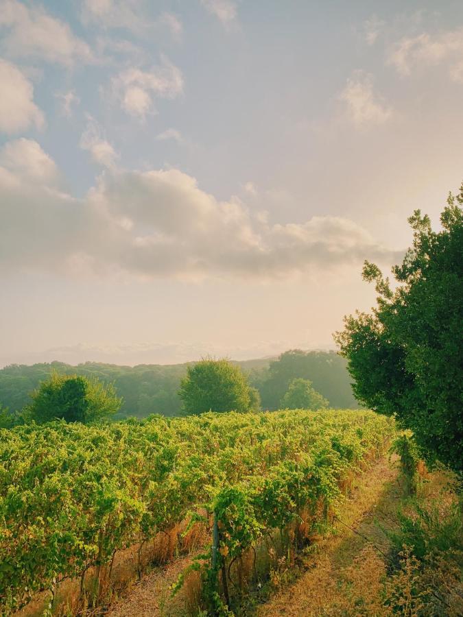 Can Bufi - Hotel & Winery Hotel