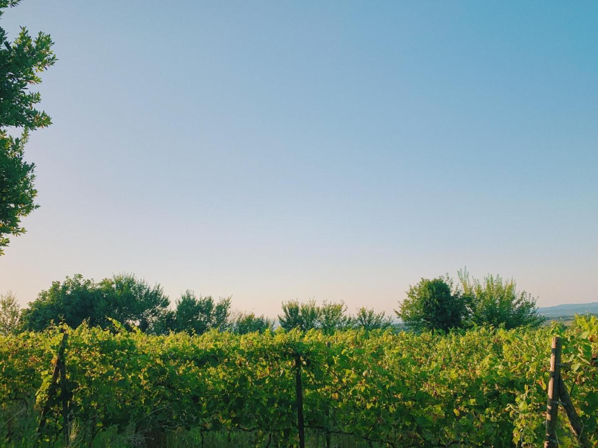 Can Bufi - Hotel & Winery