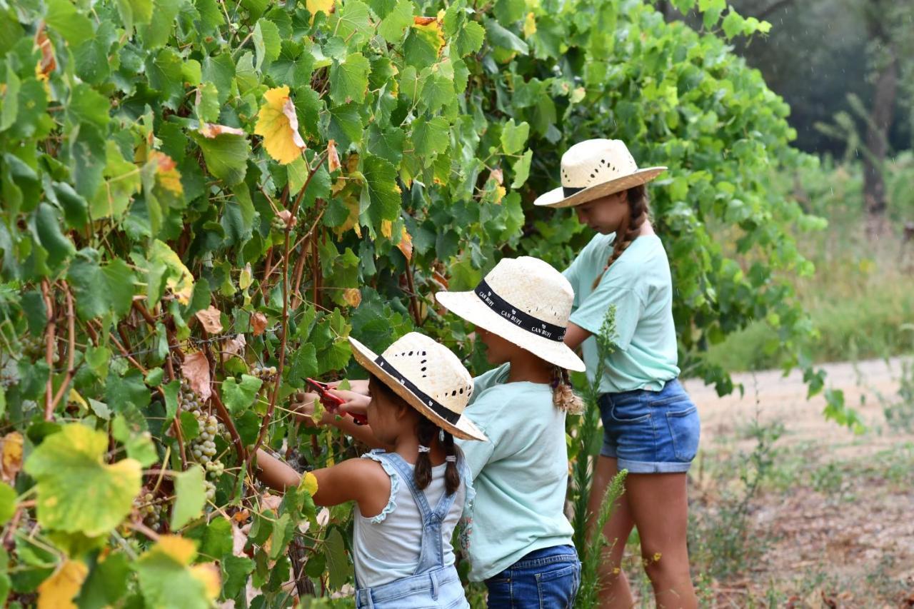 Can Bufi - Hotel & Winery Hotel