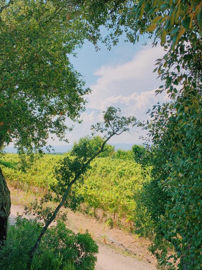 Hotel Can Bufi - Hotel & Winery *