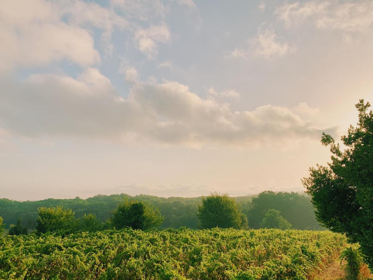 Can Bufi - Hotel & Winery * Llagostera