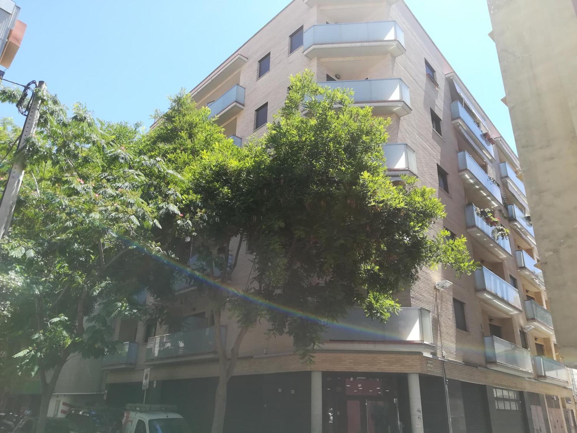 Piso Andrea