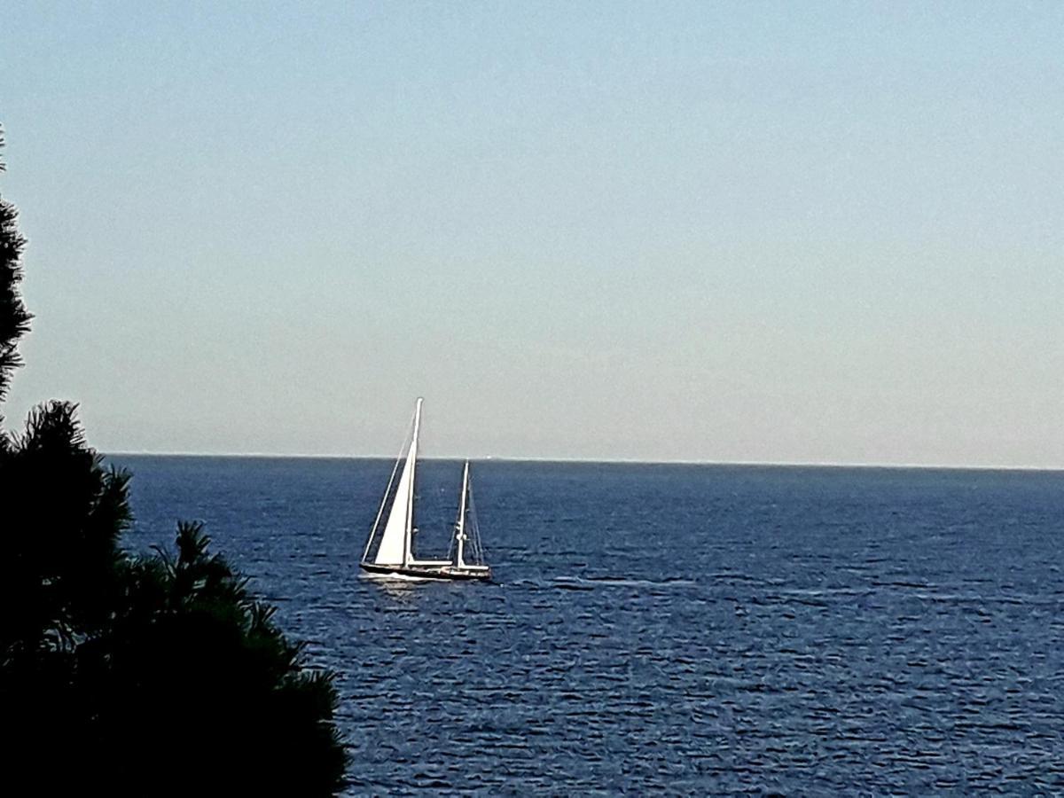 Transatlantique En Premiere Ligne De Dite Esmeralda