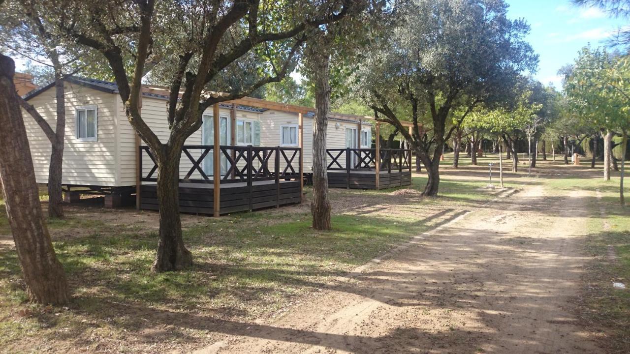 Campsite Relax Ge