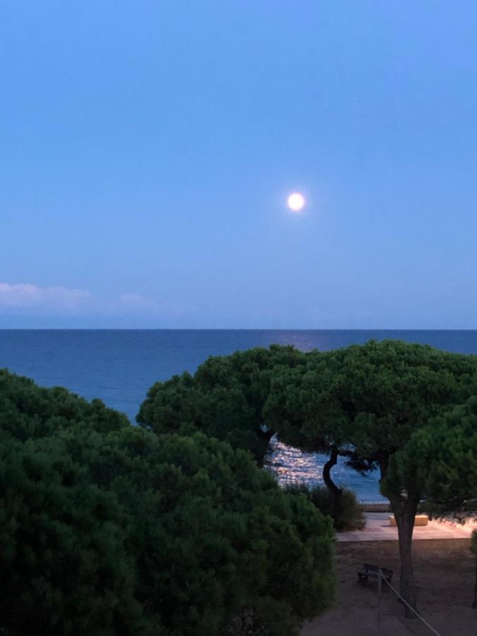 Apartment Direkt Am Blanes