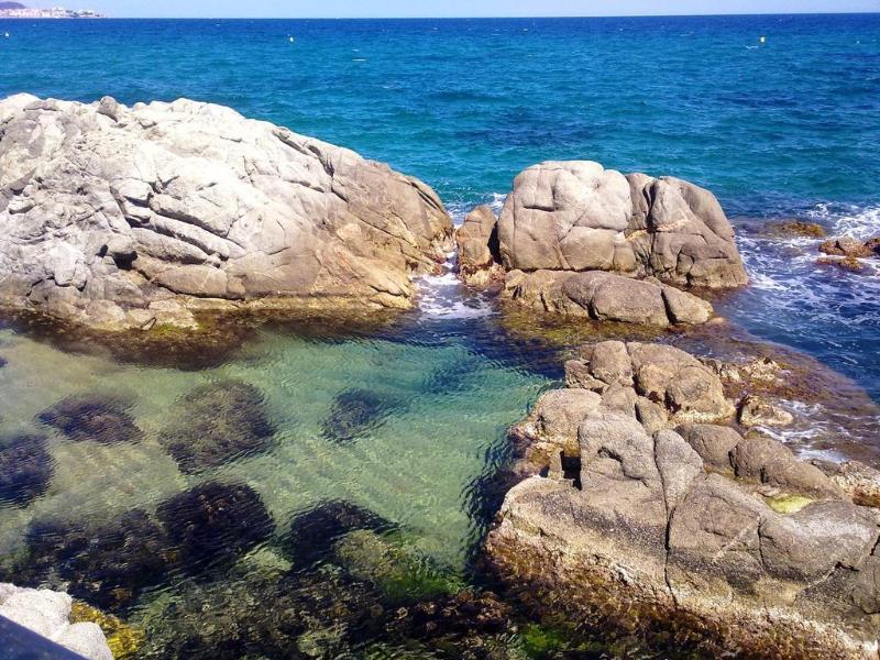 Cap Roig & Spa By Brava Platja d'Aro