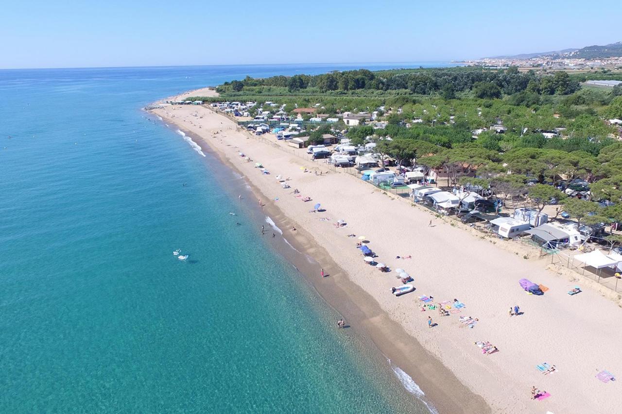 Camping El Pinar Campsite