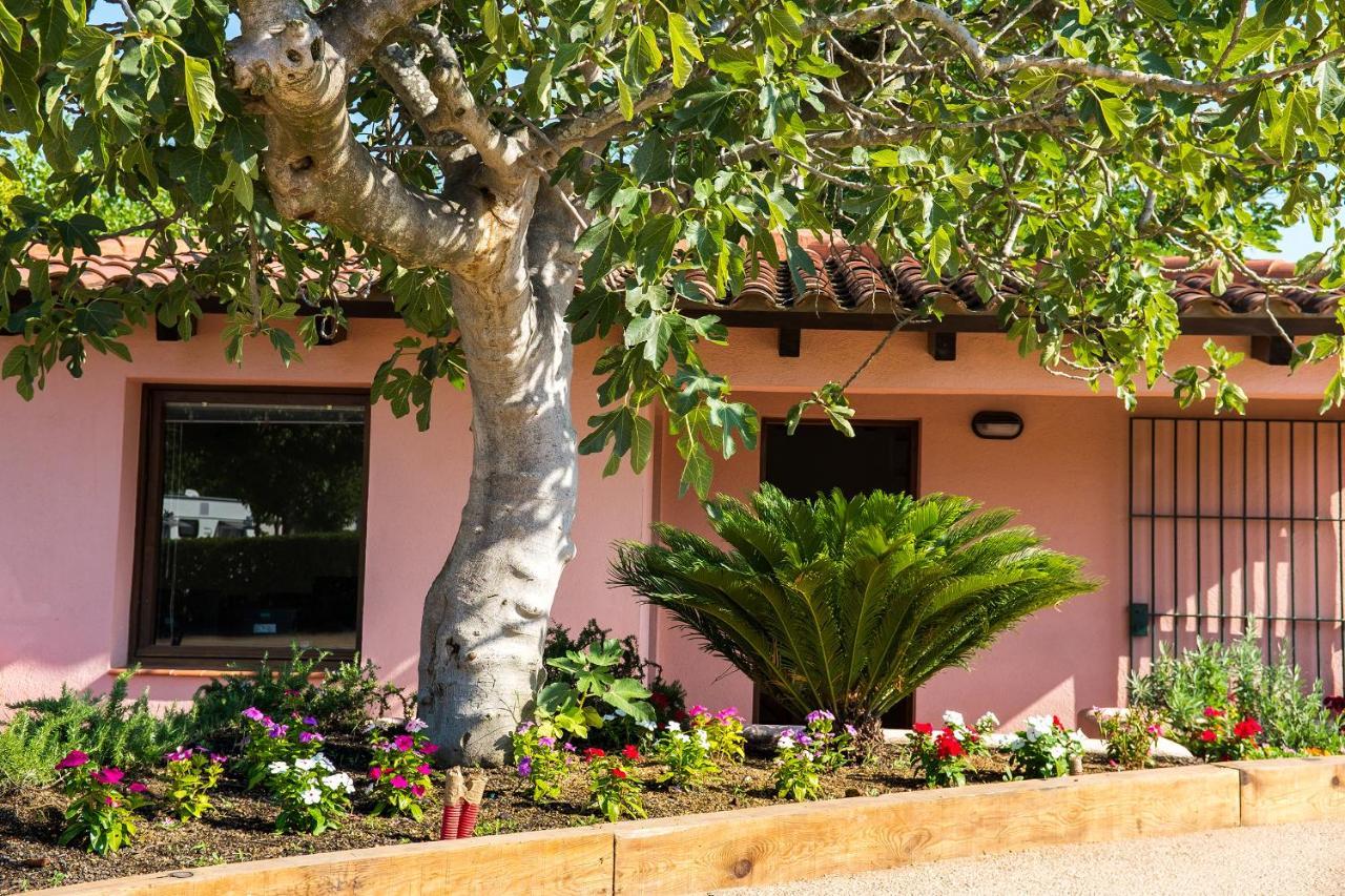 Campsite Camping El Pinar