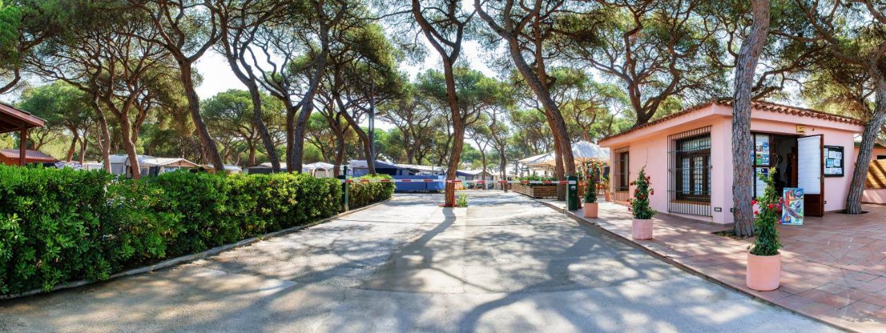 Campsite Camping El Pinar *
