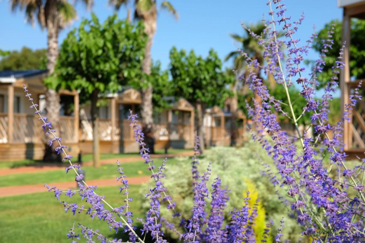 Camping El Pinar