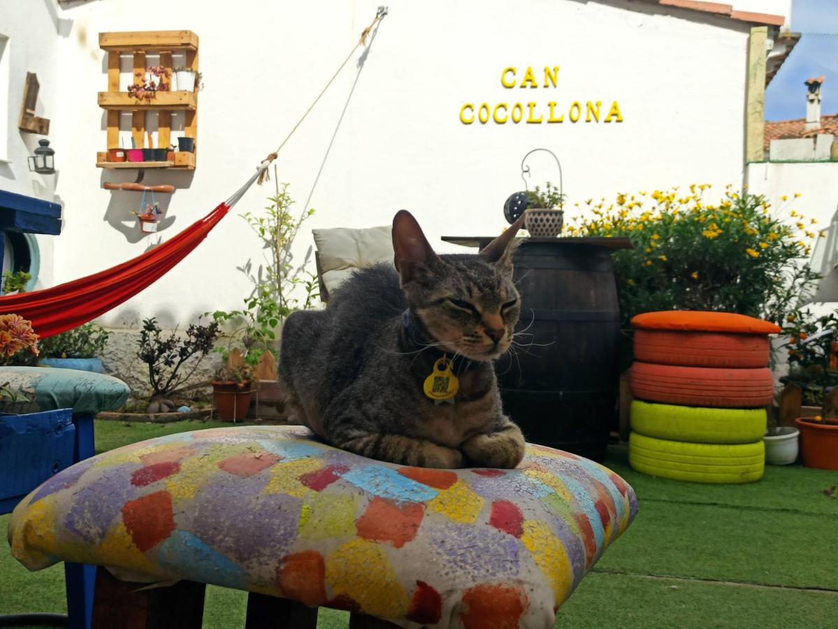 Cocollona Hostel