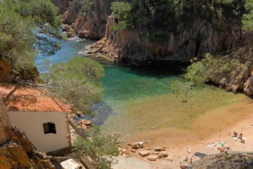 Palamos *