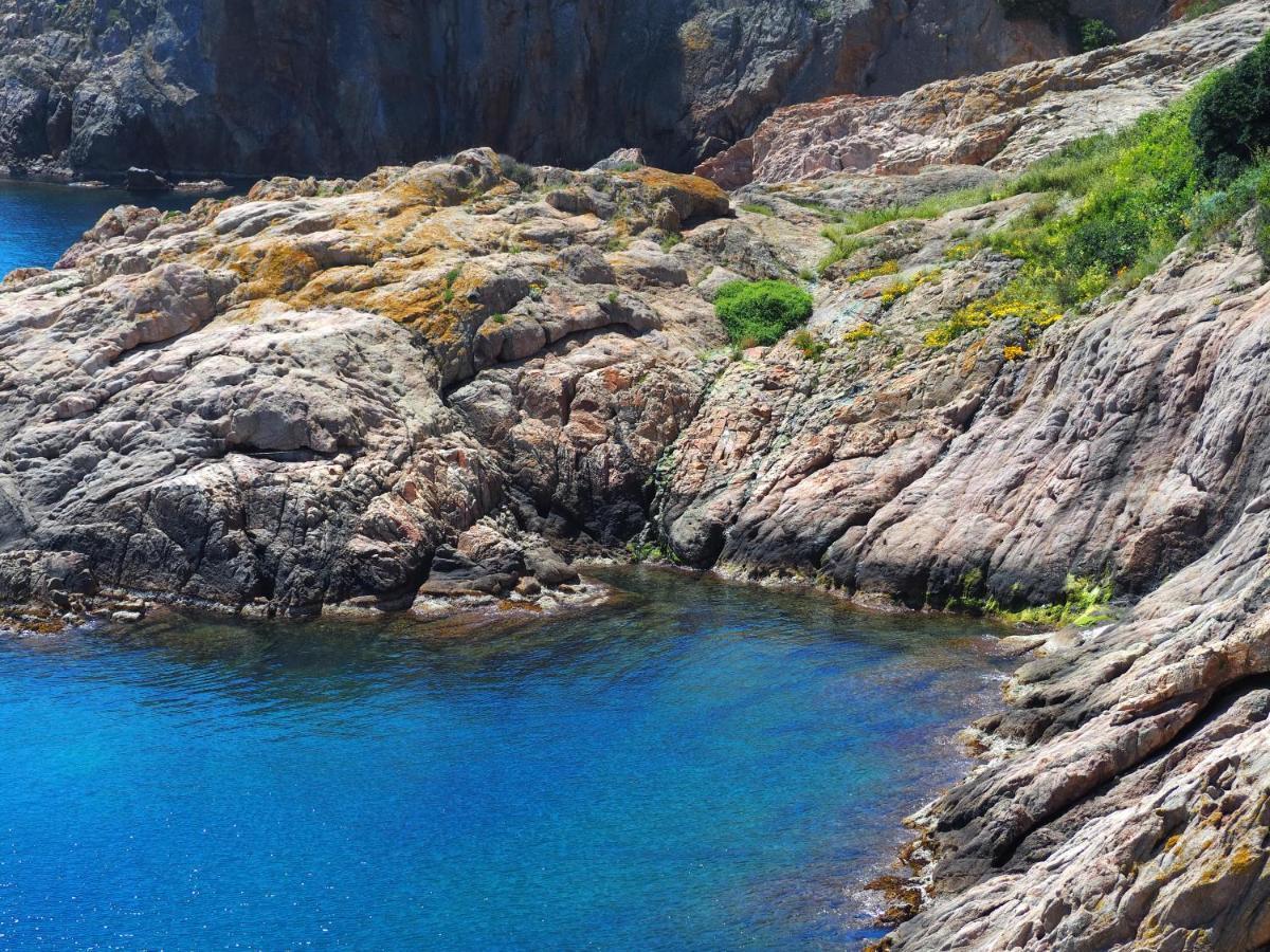 Apartament Per Families A Sant Feliu Amb Piscina Sant Feliu de Guíxols