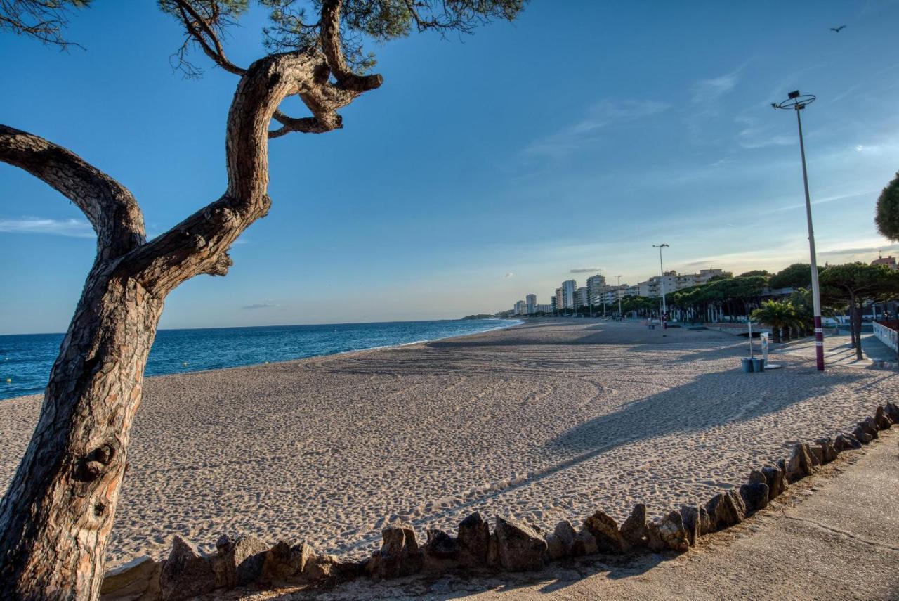 Apartment Old Side Duplex Platja D Aro *