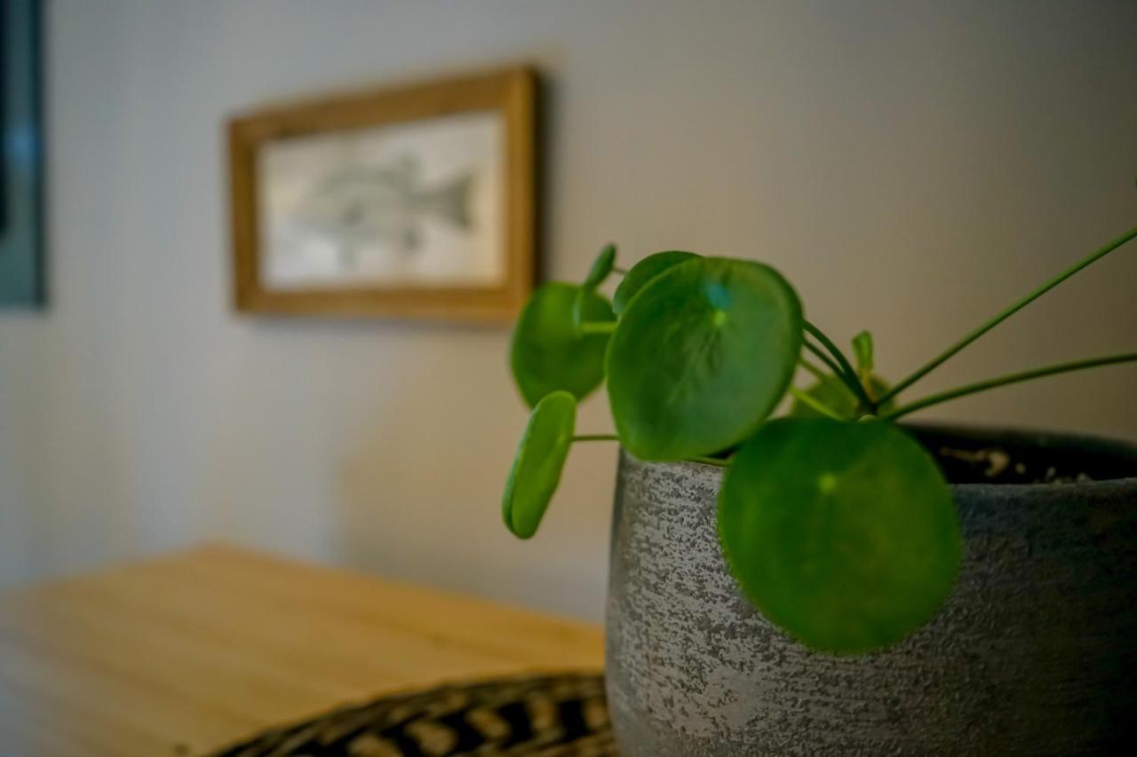 Casa Sensi Bed and breakfast Vall-Llobrega