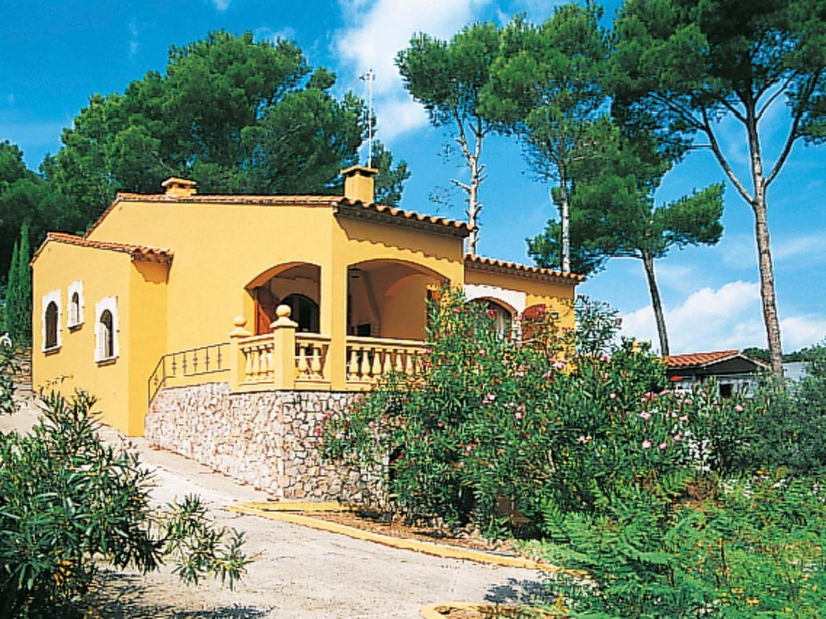 Pineda 104