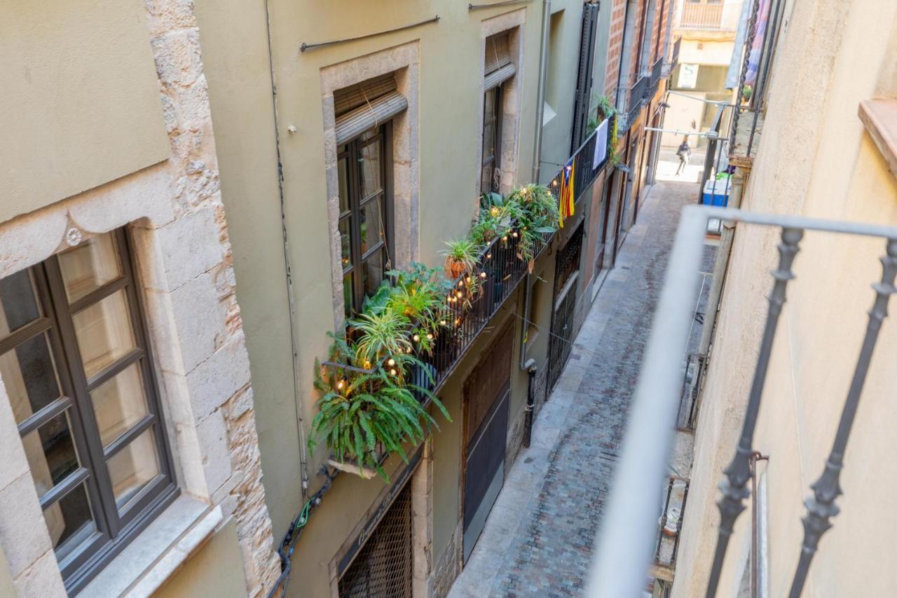 Flateli Cort Reial 10