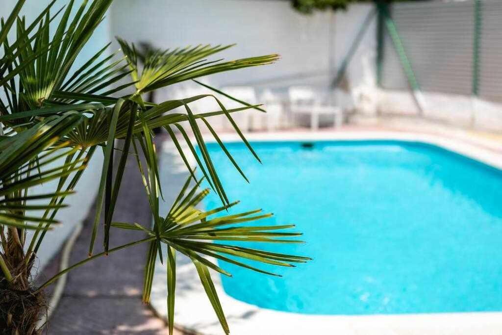 Newly Renovated W Pool & Bikeparking