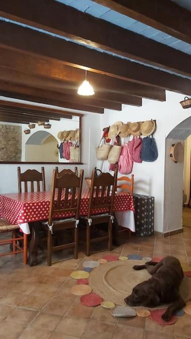 The Blue House Of The Costa Brava Arlet S Corner Apartamento *